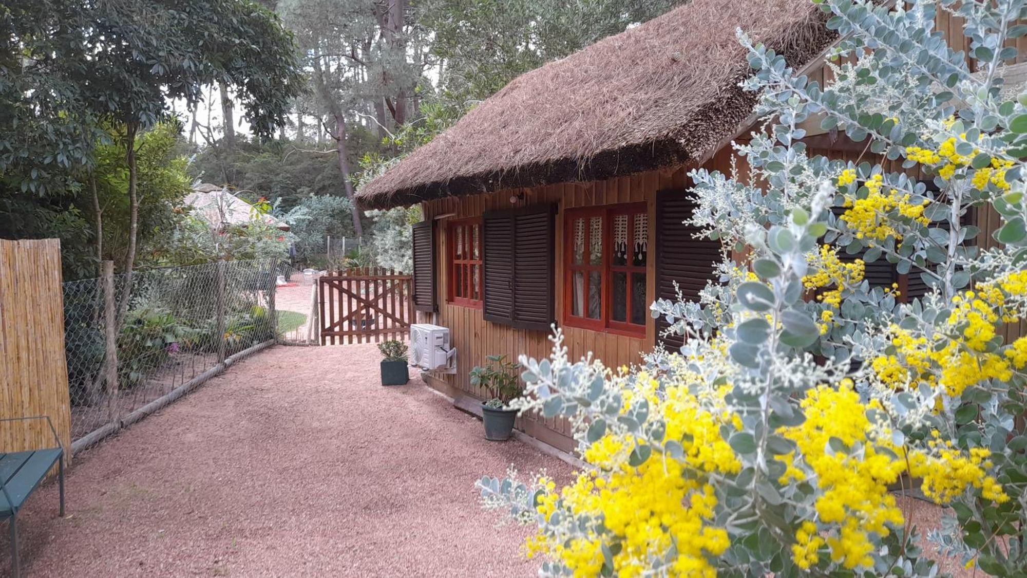 Las Chozas Punta del Este Extérieur photo